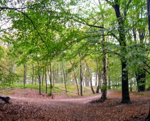 Maandagmiddag Wandeling