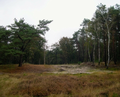 Maandagmiddag Wandeling