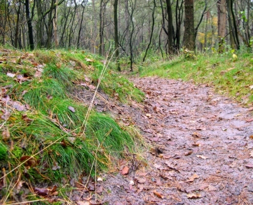 Maandagmiddag Wandeling