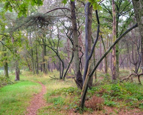 Maandagmiddag Wandeling
