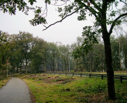 Maandagmiddag Wandeling
