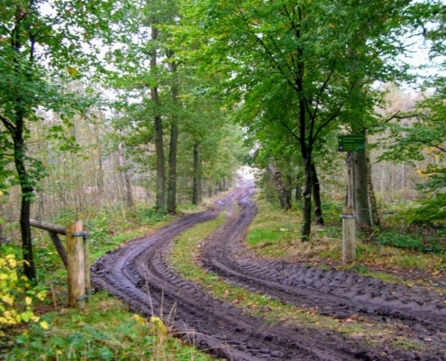 Maandagmiddag Wandeling