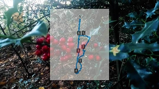 Zondagmiddag Wandeling op Laapersveld