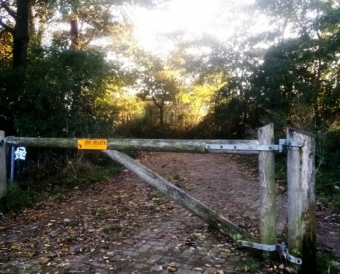 Zondagmiddag Wandeling op Laapersveld