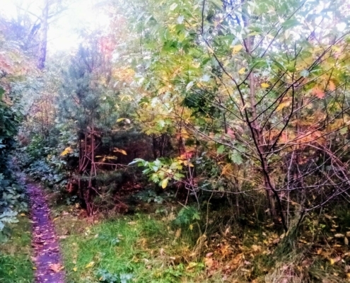 Donderdagmiddag Wandeling