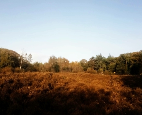 Donderdagmiddag Wandeling