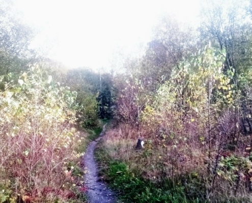 Donderdagmiddag Wandeling