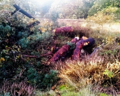 Donderdagmiddag Wandeling