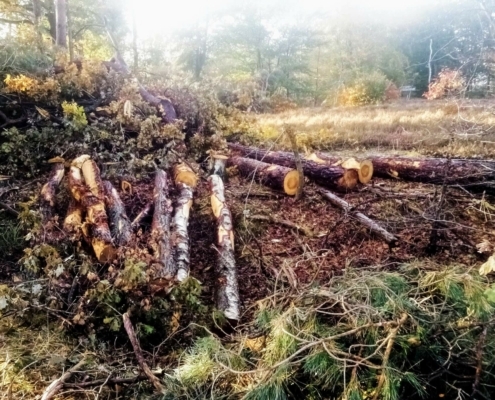 Donderdagmiddag Wandeling