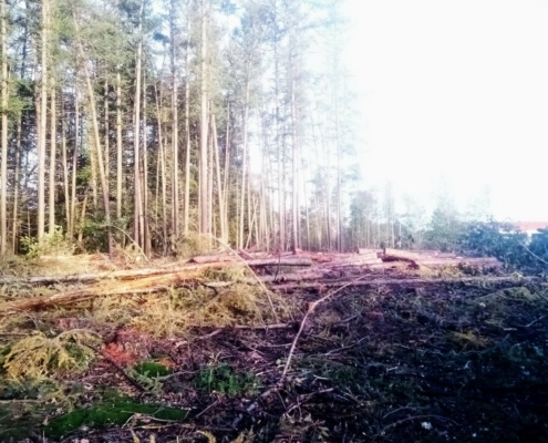 Donderdagmiddag Wandeling