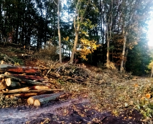 Donderdagmiddag Wandeling