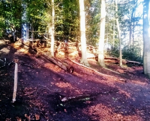 Donderdagmiddag Wandeling