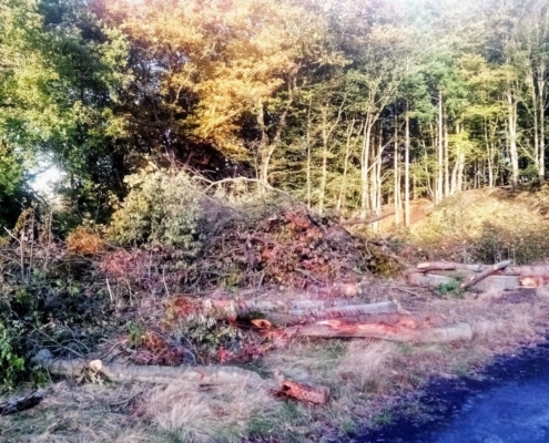 Donderdagmiddag Wandeling