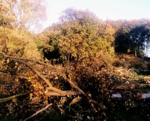 Donderdagmiddag Wandeling