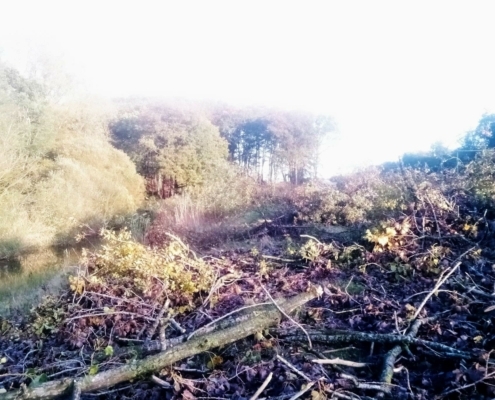 Donderdagmiddag Wandeling