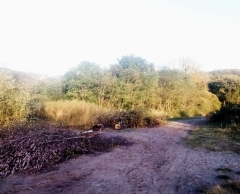 Donderdagmiddag Wandeling