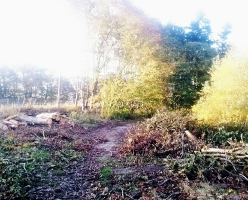 Donderdagmiddag Wandeling