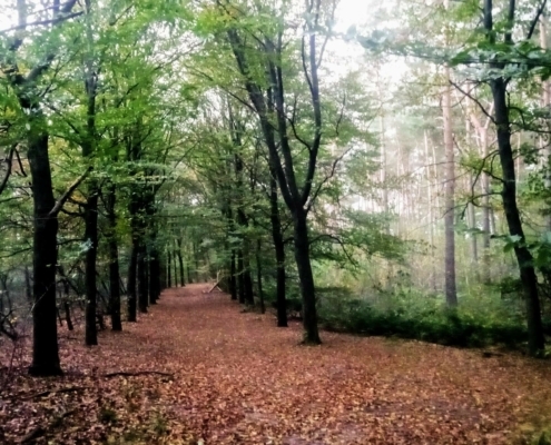 Woensdagmiddag Wandeling