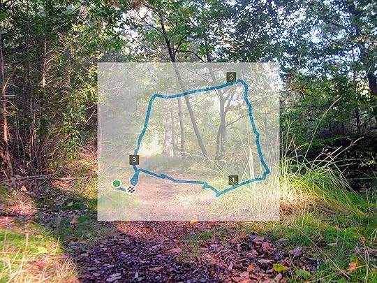 Wandeling Hooge Vuursche van 15 en 17 oktober