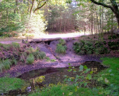 Wandeling Hooge Vuursche van 15 en 17 oktober