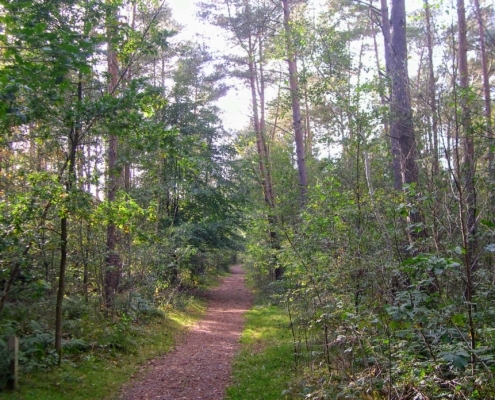 Wandeling Hooge Vuursche van 15 en 17 oktober