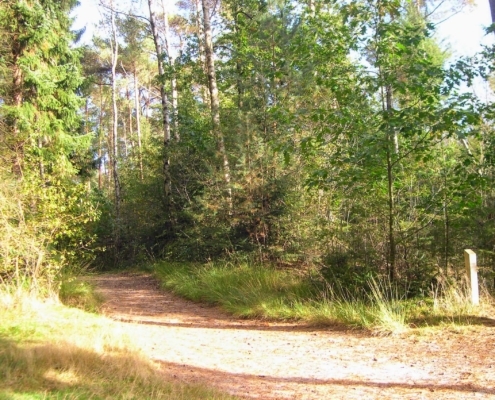 Wandeling Hooge Vuursche van 15 en 17 oktober