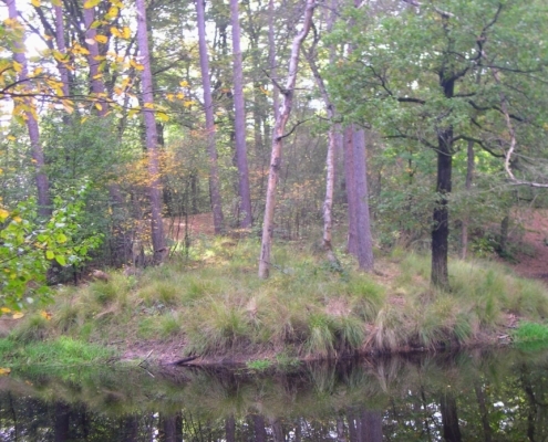 Wandeling Hooge Vuursche van 15 en 17 oktober