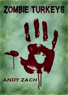 Andy Zach Wins NaNoMo