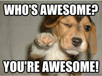 you're awesome according to the puppy