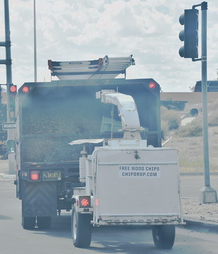 Wooden Chips & Salsa