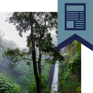 thrillers in the tropics image