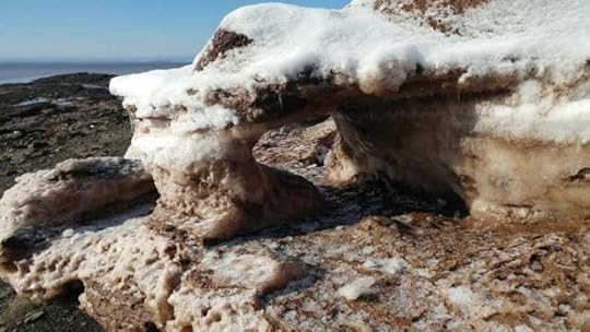 bay of fundy ice formations