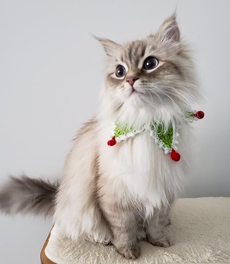 2021 Christmas Cat