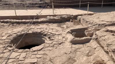 Avenue of Sphinxes, wineries