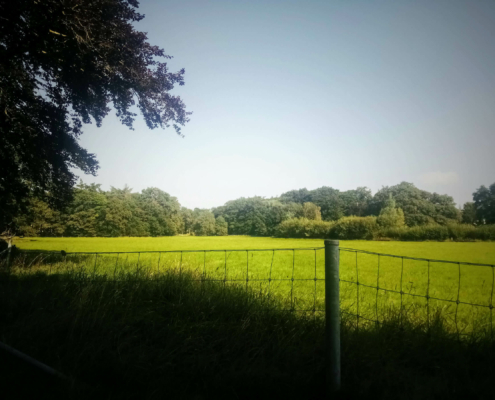 Wandeling op Landgoed Monnikenberg