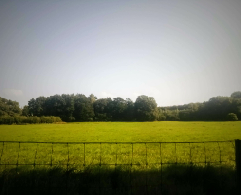 Wandeling op Landgoed Monnikenberg