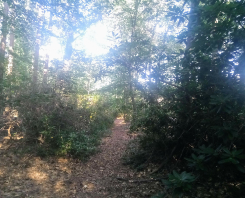 Wandeling op Landgoed Monnikenberg