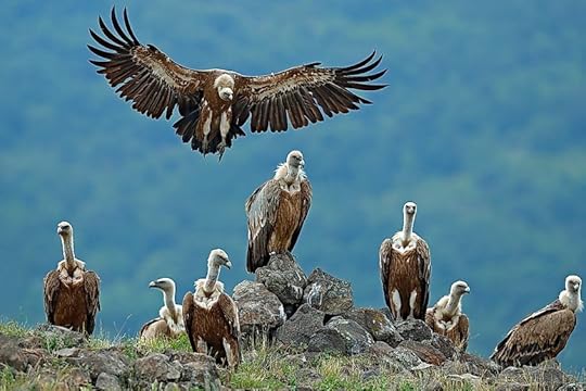 20 Interesting Names for Groups of Animals - WorldAtlas