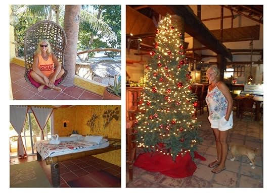 Our accommodation was gorgeous with a sparkling Christmas tree set up in the bar.
