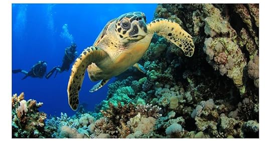 There is a scuba diving centre and the Tubod Marine Sanctuary at the resort