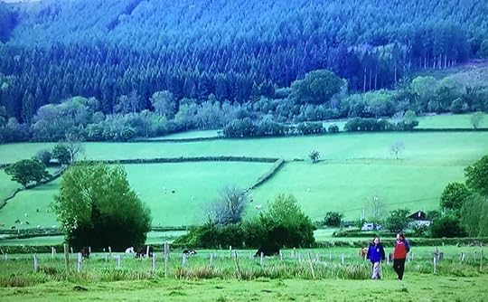 Two women walk through a green field near where cows are grazing. In the background is another green field with cows or sheep grazing and a fores of trees beyond.