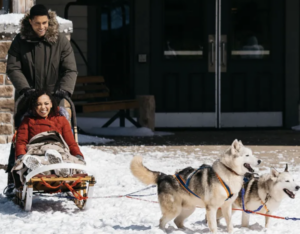This counts as sledding, a bit with a dog, and a *dash* of workplace harassment.-Snowbound for Christmas, 2019 