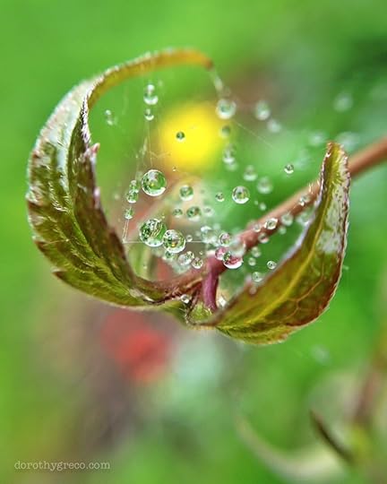 Today’s nature up close