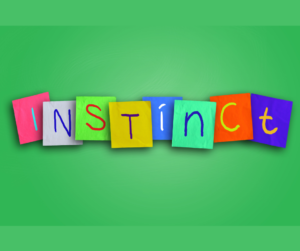 gut instinct