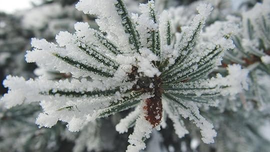 Today’s nature up close