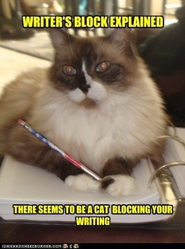 Valid reason | Funny cat memes, Writing humor, Writing memes