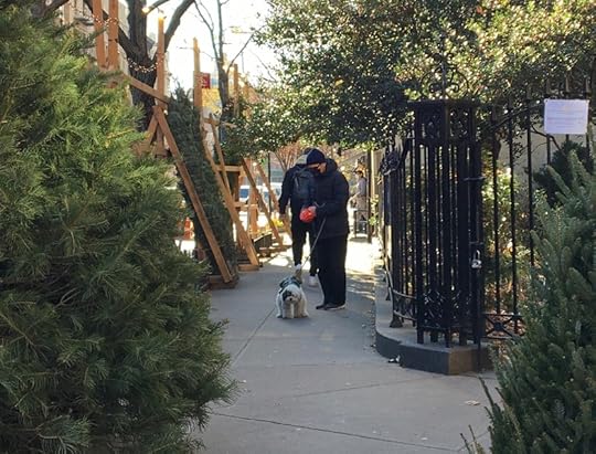 Christmas Tree Stand, New York City