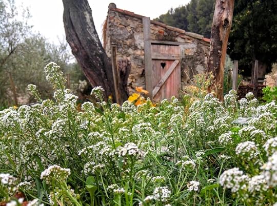 D6B8B0C3-AD8D-4B45-A239-CE376DB4BF2F