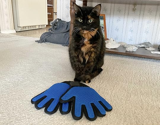 grooming-gloves-cat