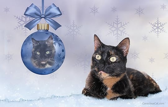 christmas-allegra-2021